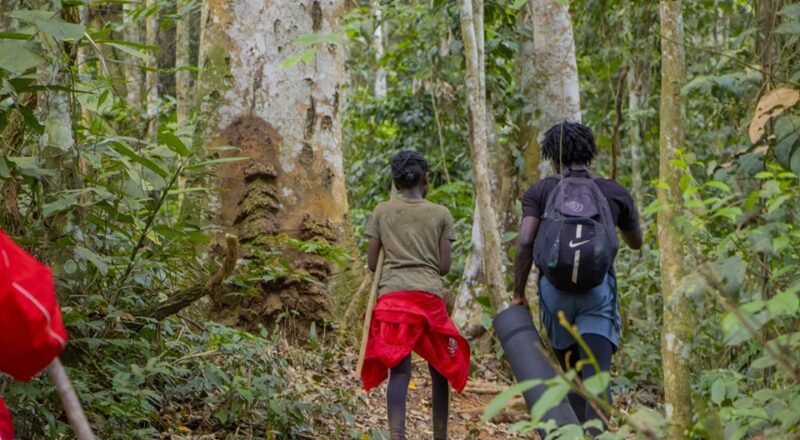 Dimanche de Cure pour les membres de Wellness au Mont Endoum